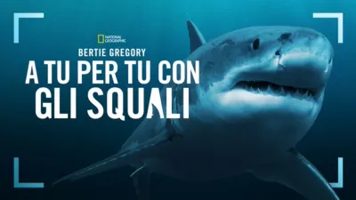 Bertie Gregory: A tu per tu con gli squali