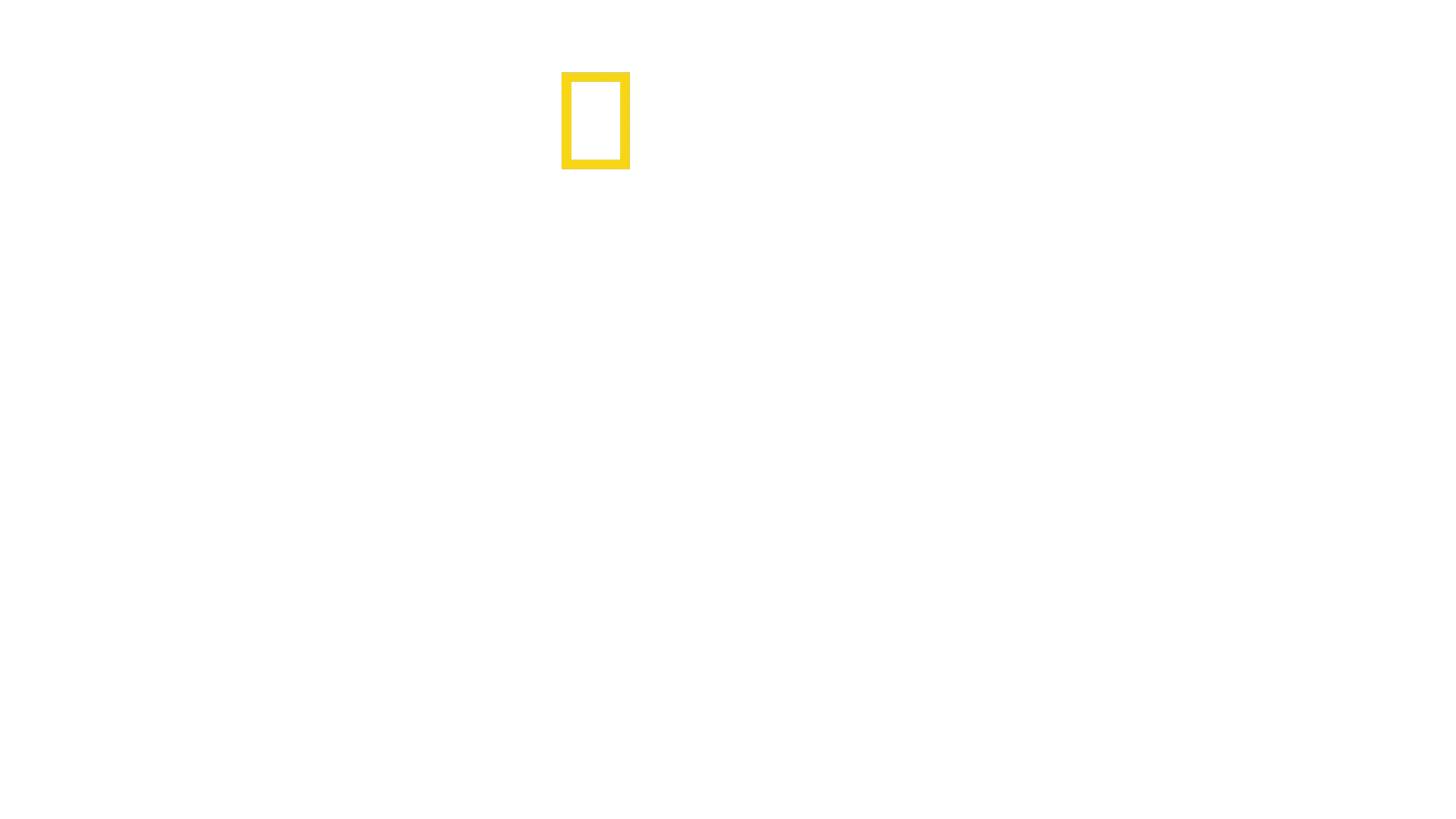 Αποστολή στον Αμαζόνιο