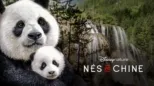 thumbnail - Nés en Chine