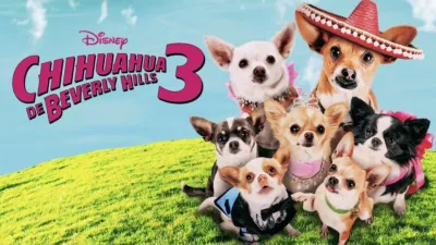 Chihuahua de Beverly Hills 3