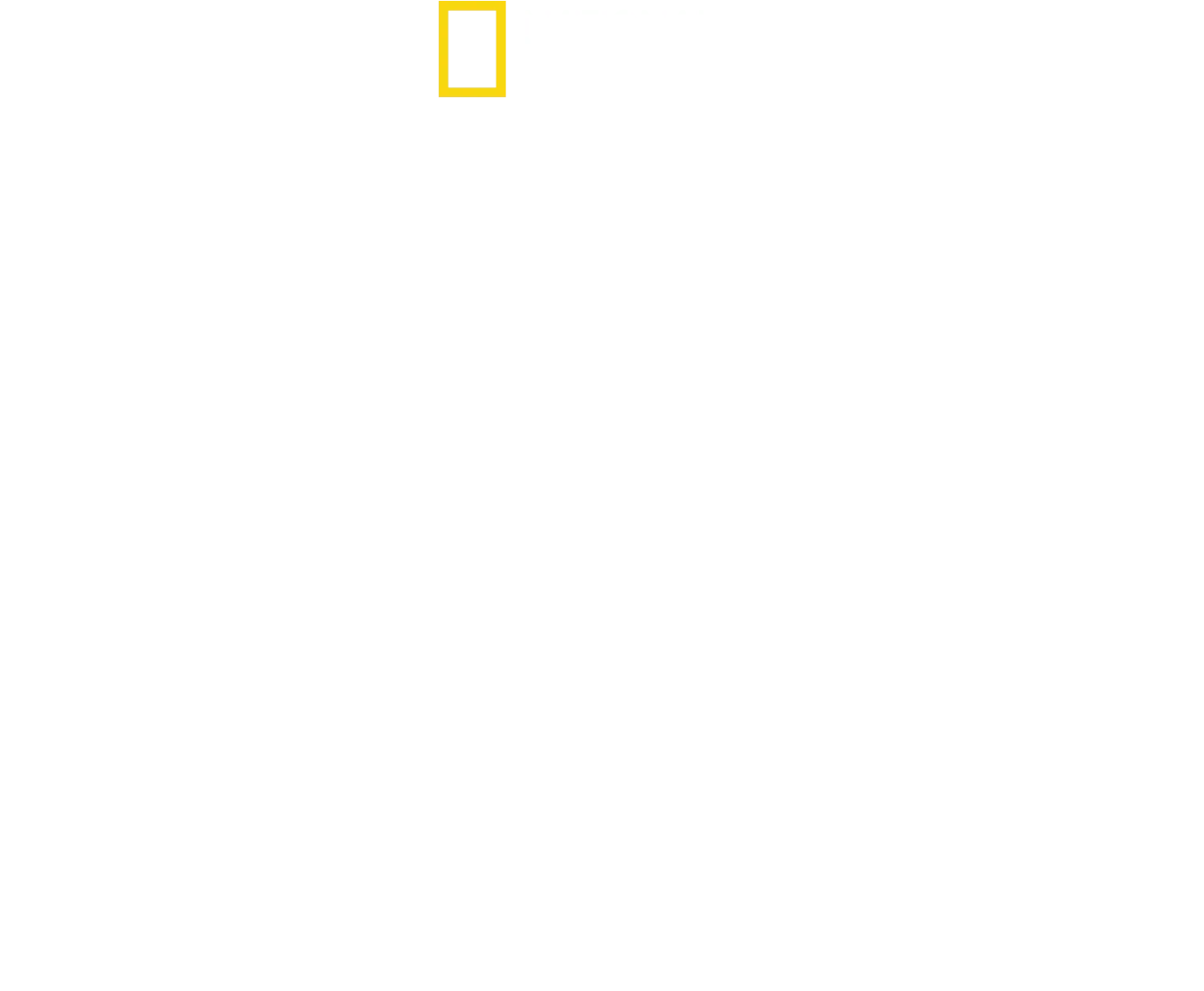 ¿El tiburón blanco más grande del mundo?