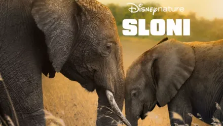 thumbnail - Sloni