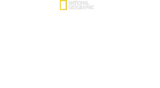Yavrular Büyürken