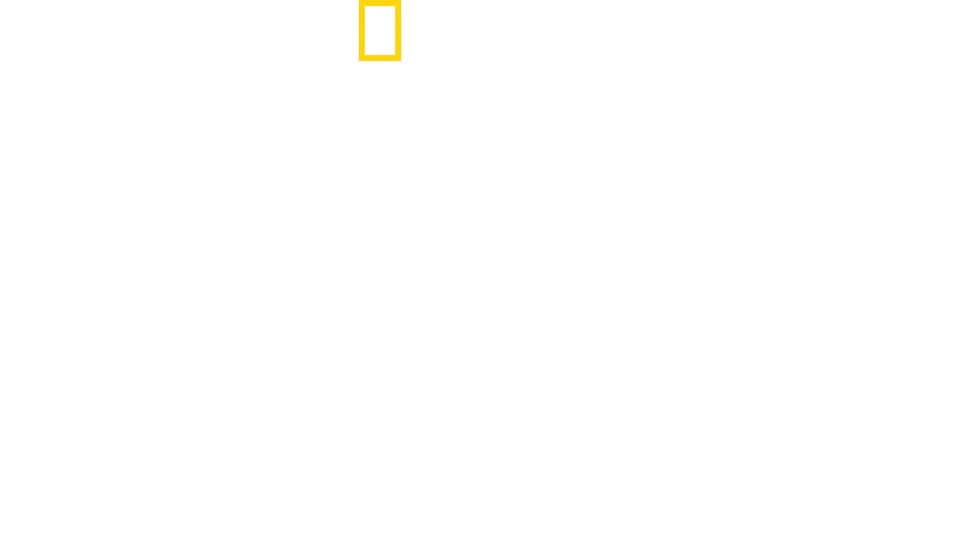 Yavrular Büyürken