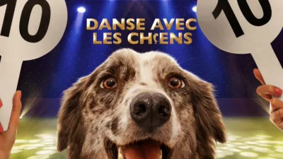 thumbnail - Danse avec les chiens