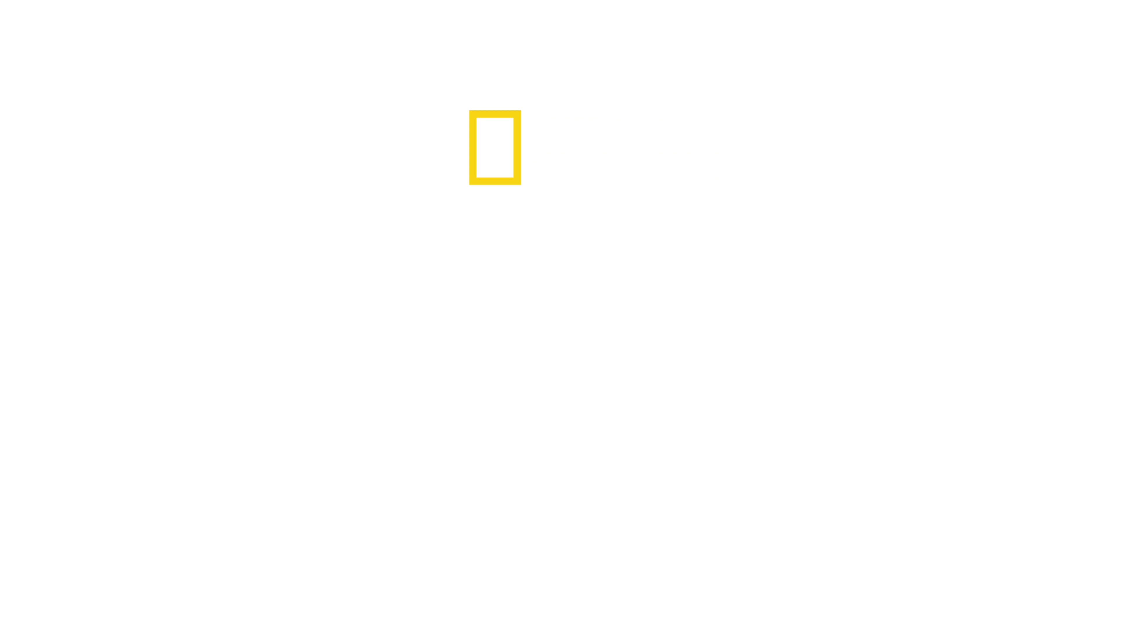 パリ協定離脱に揺らぐアメリカ