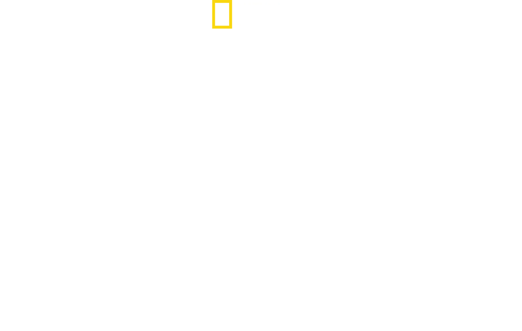 Disney's Animal Kingdom’ın Sihri