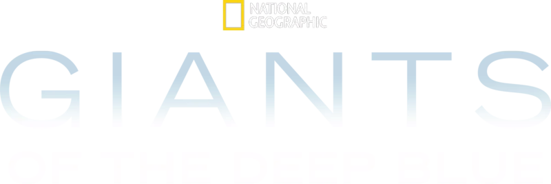 Giants of the Deep Blue