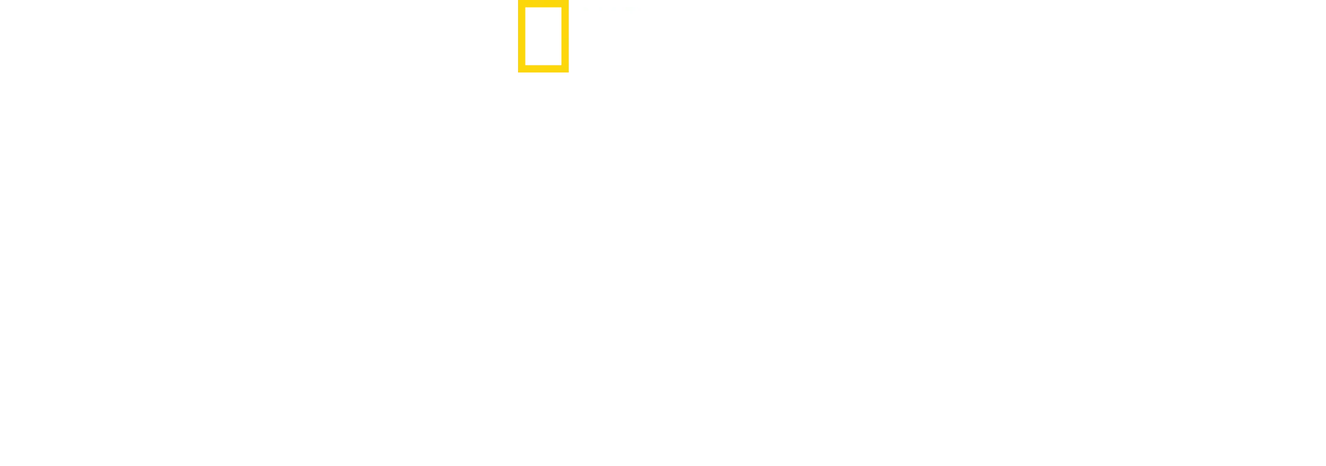 Hemligheterna på zoo