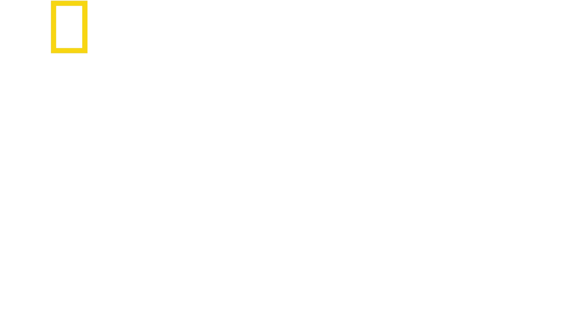 정글에 갇힌 아이들