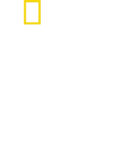정글에 갇힌 아이들