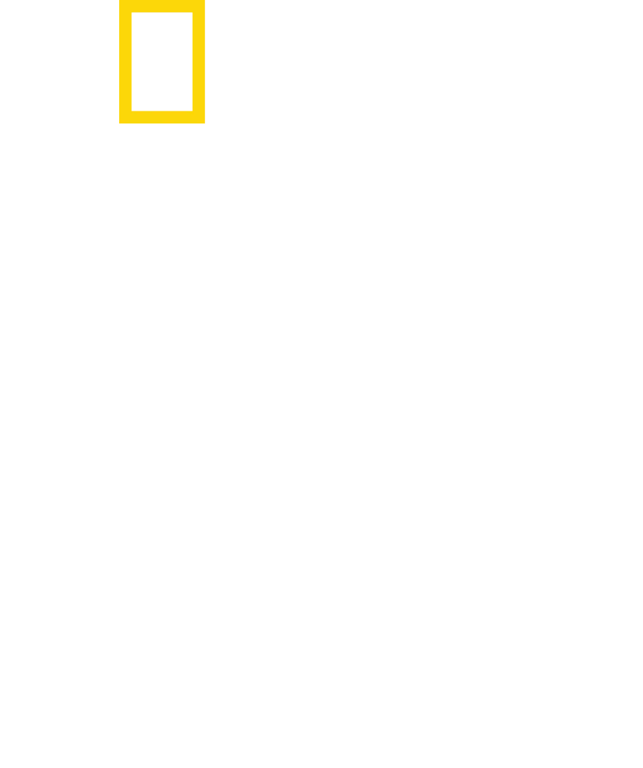 정글에 갇힌 아이들