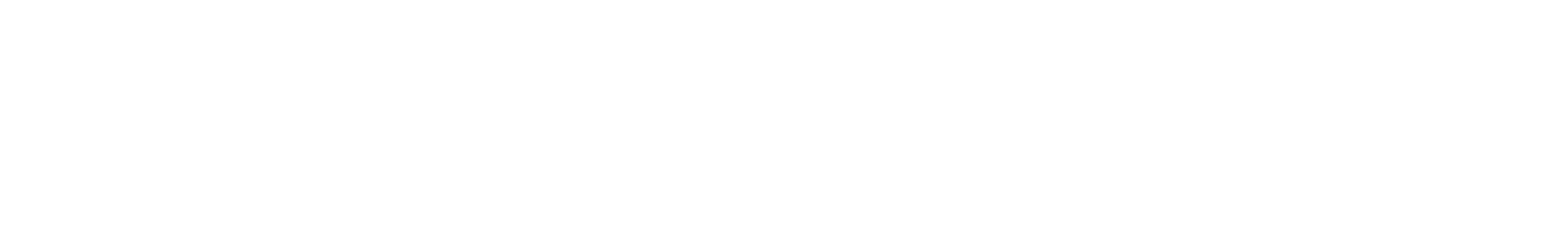 Shardlake : Détective de l'ombre