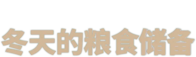 冬天的粮食储备
