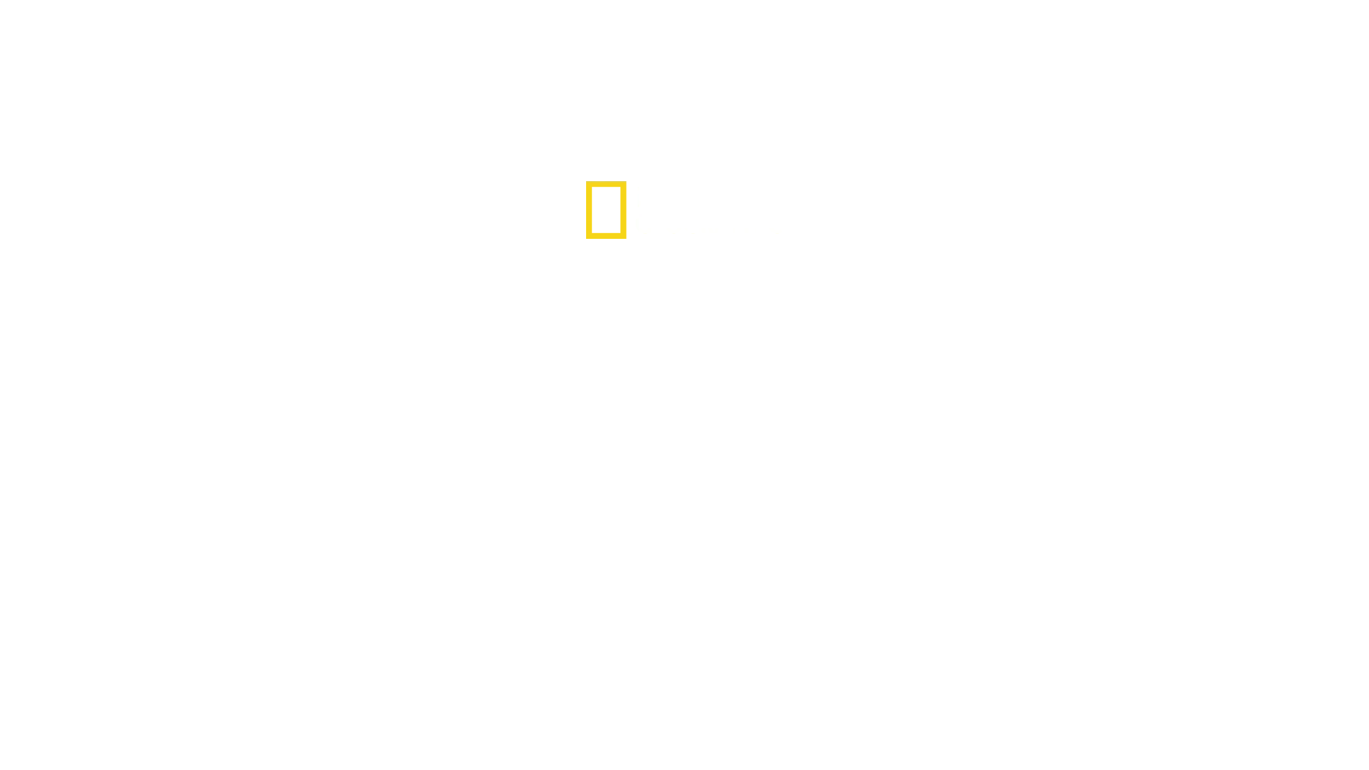 Testigos de la tragedia