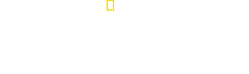 Testigos de la tragedia
