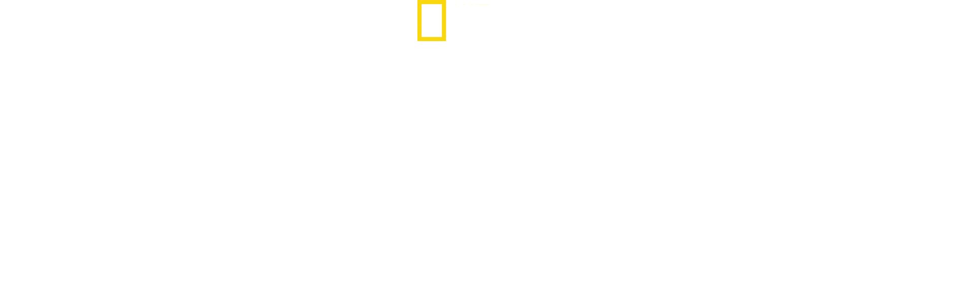Testigos de la tragedia