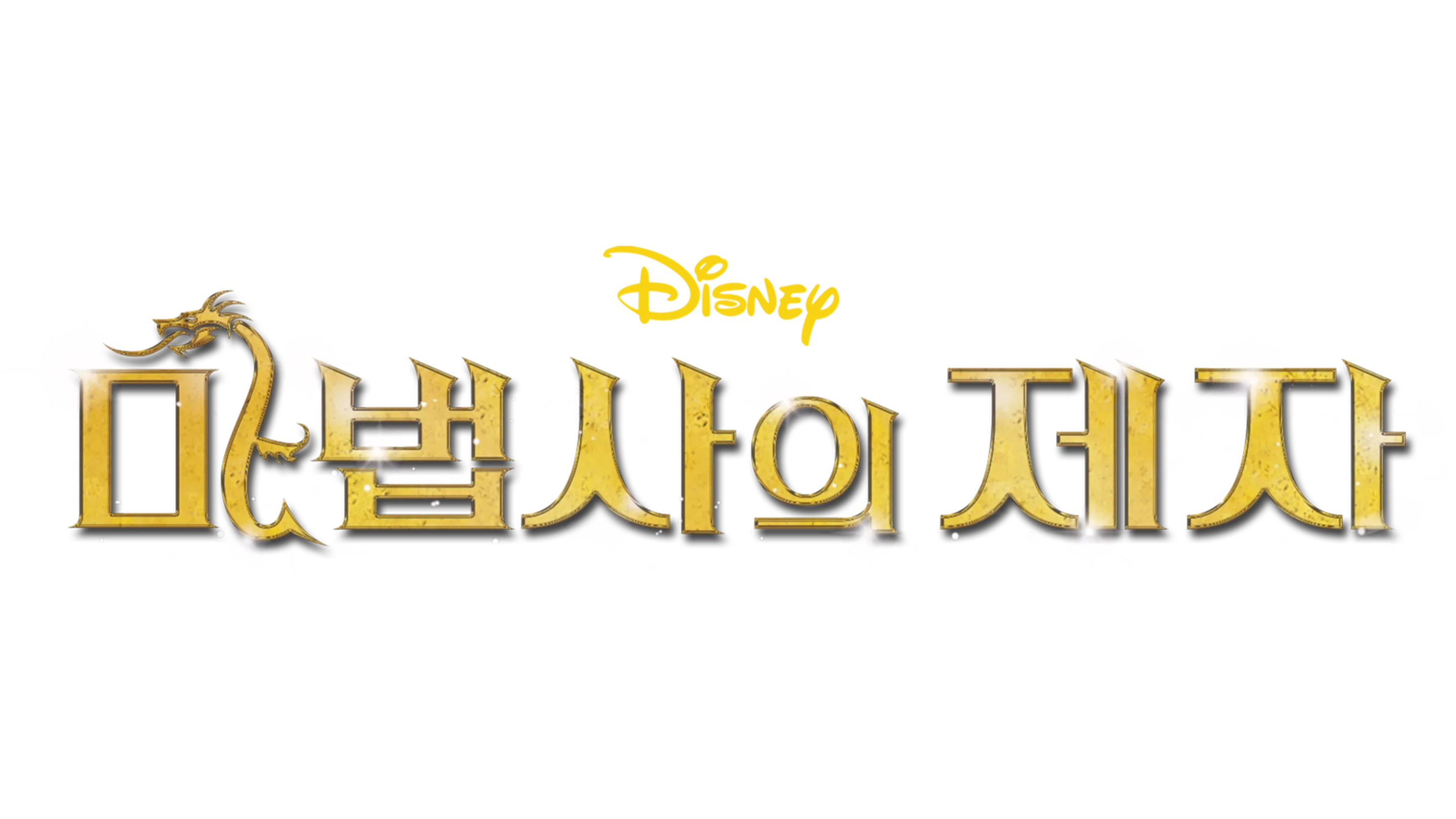 마법사의 제자