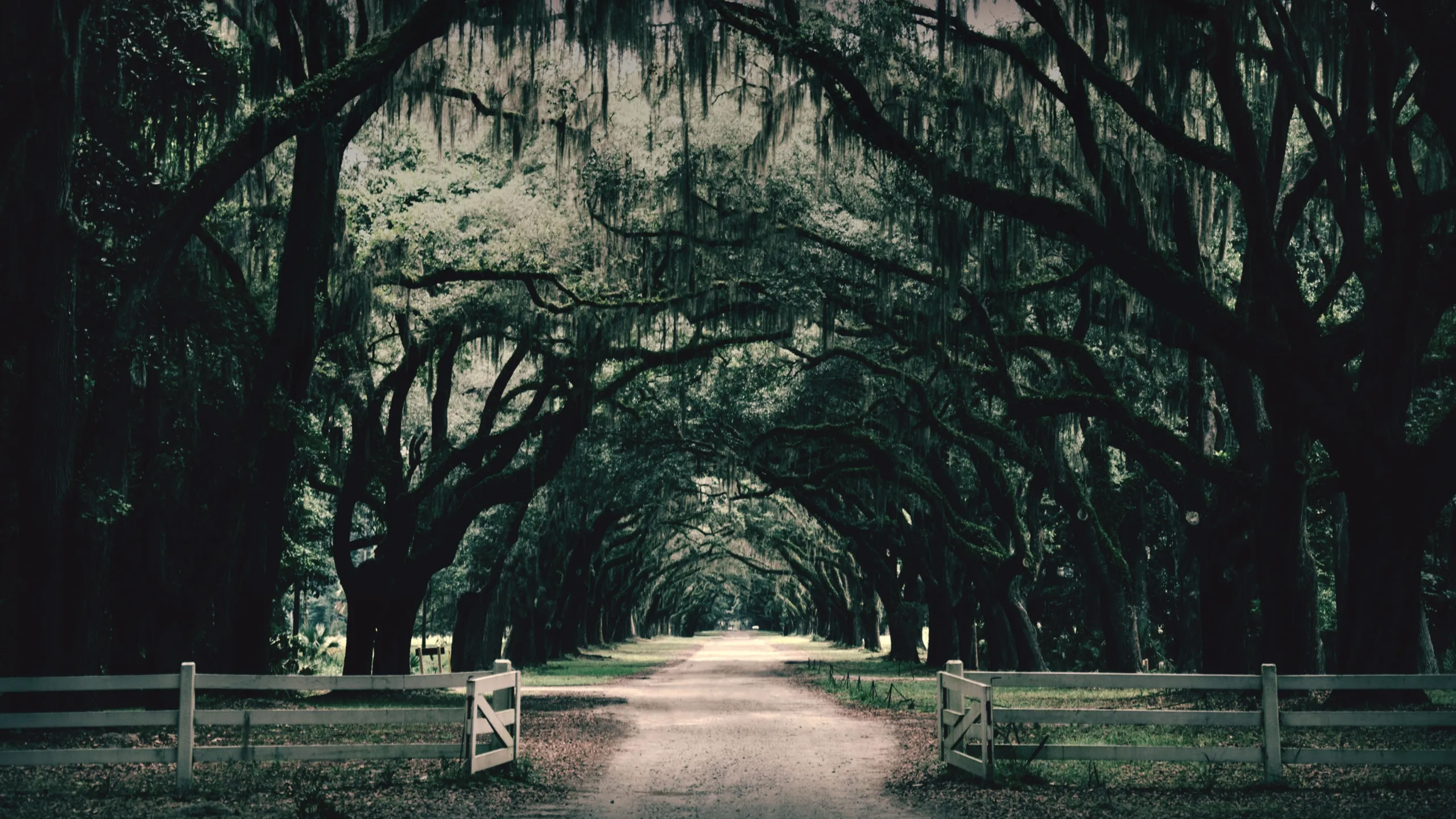 Southern Gothic