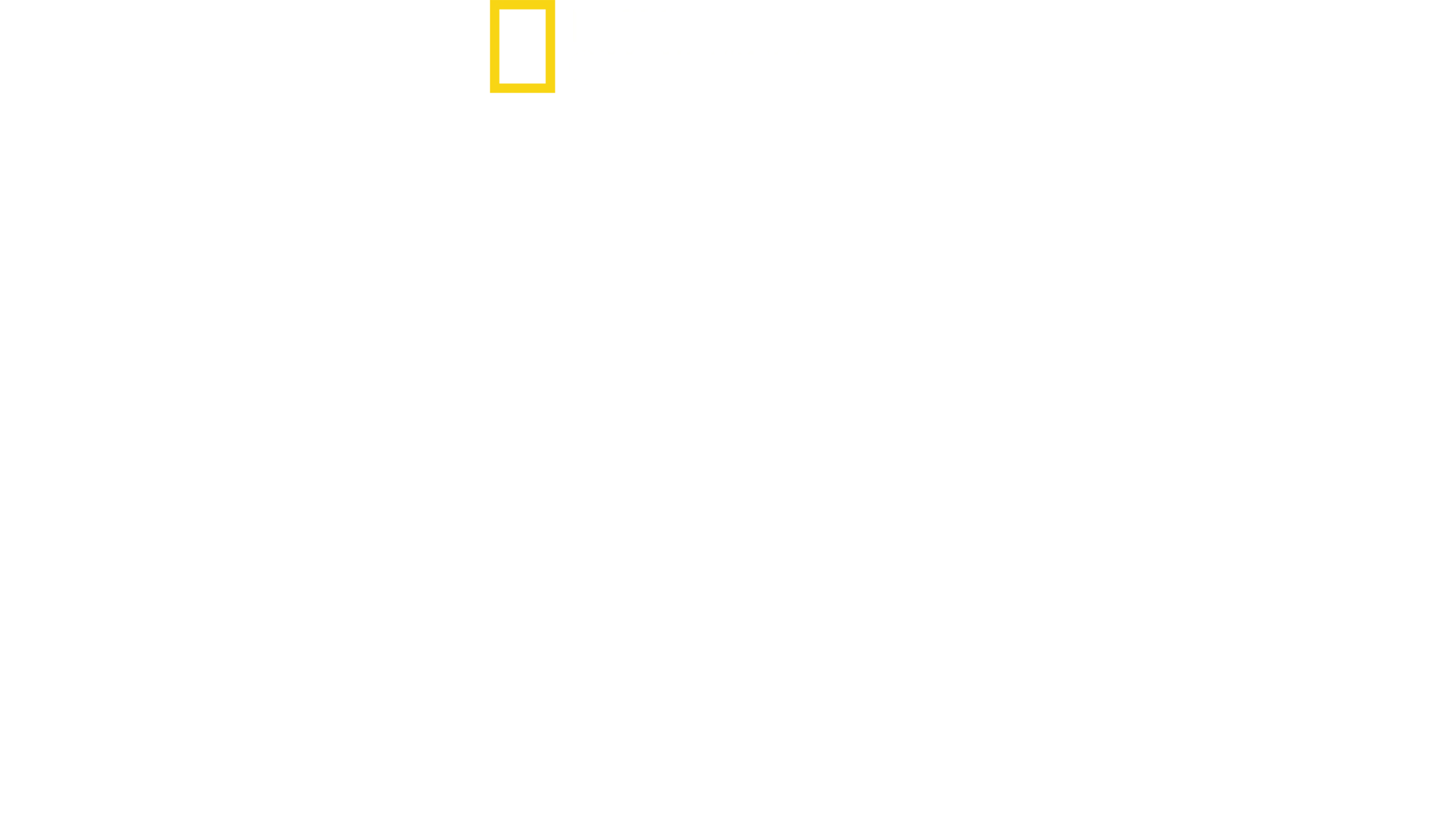 Mandíbulas al acecho