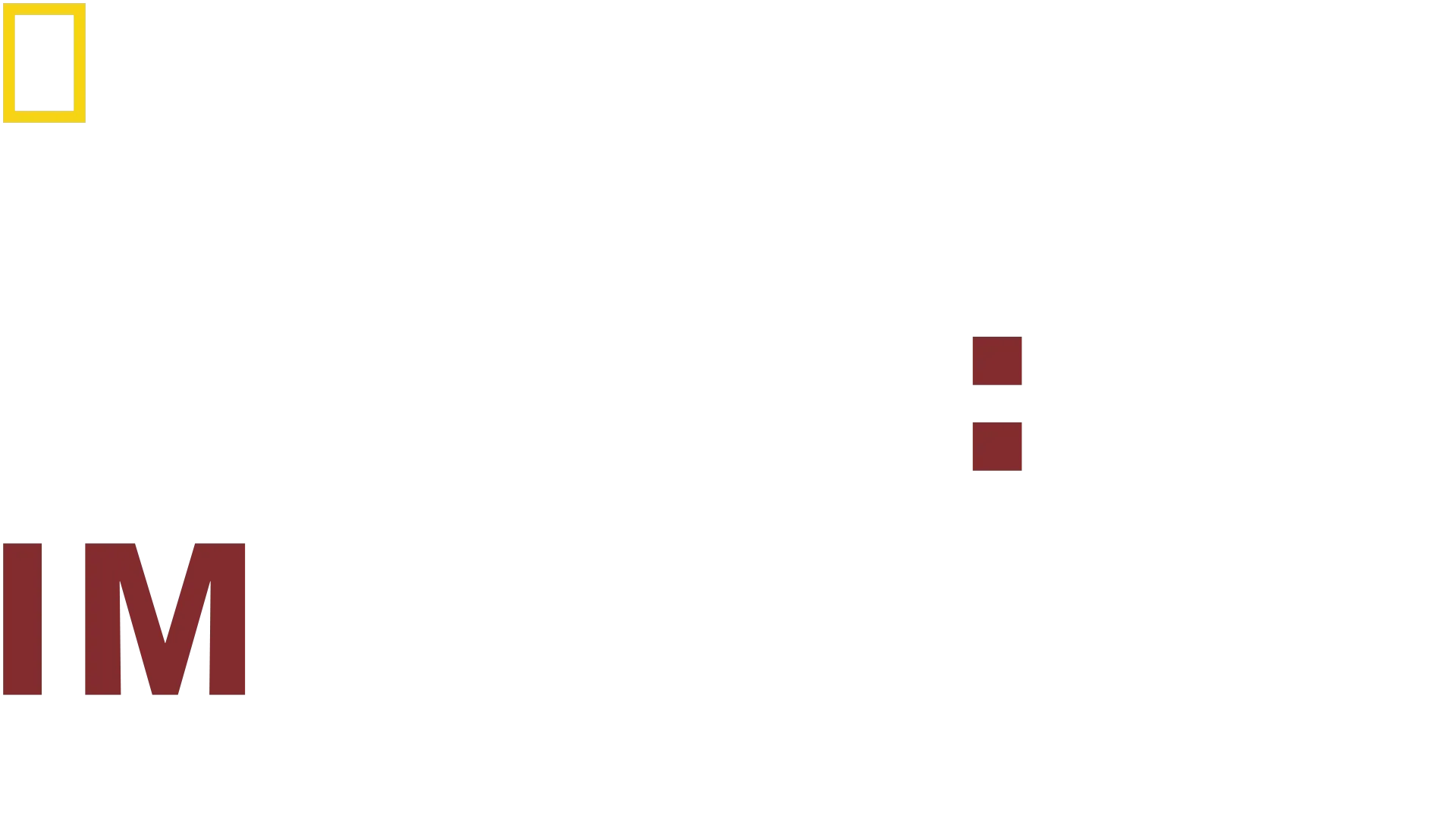Dog: Impossible-Misión canina