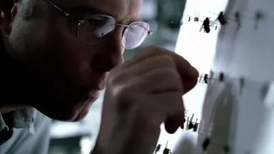 thumbnail - S1:E10 Sex, Lies and Larvae