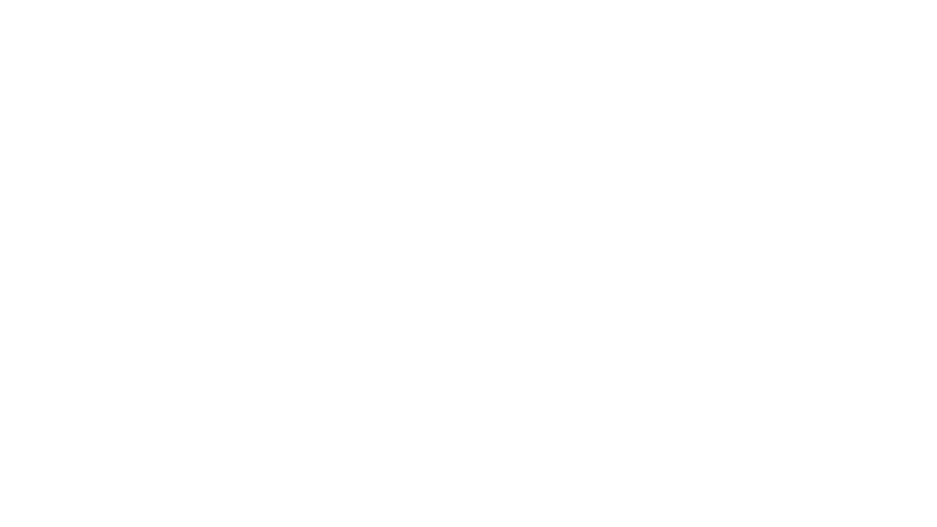 The Holiday