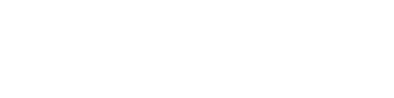 Auburn vs. Tennessee (2009)