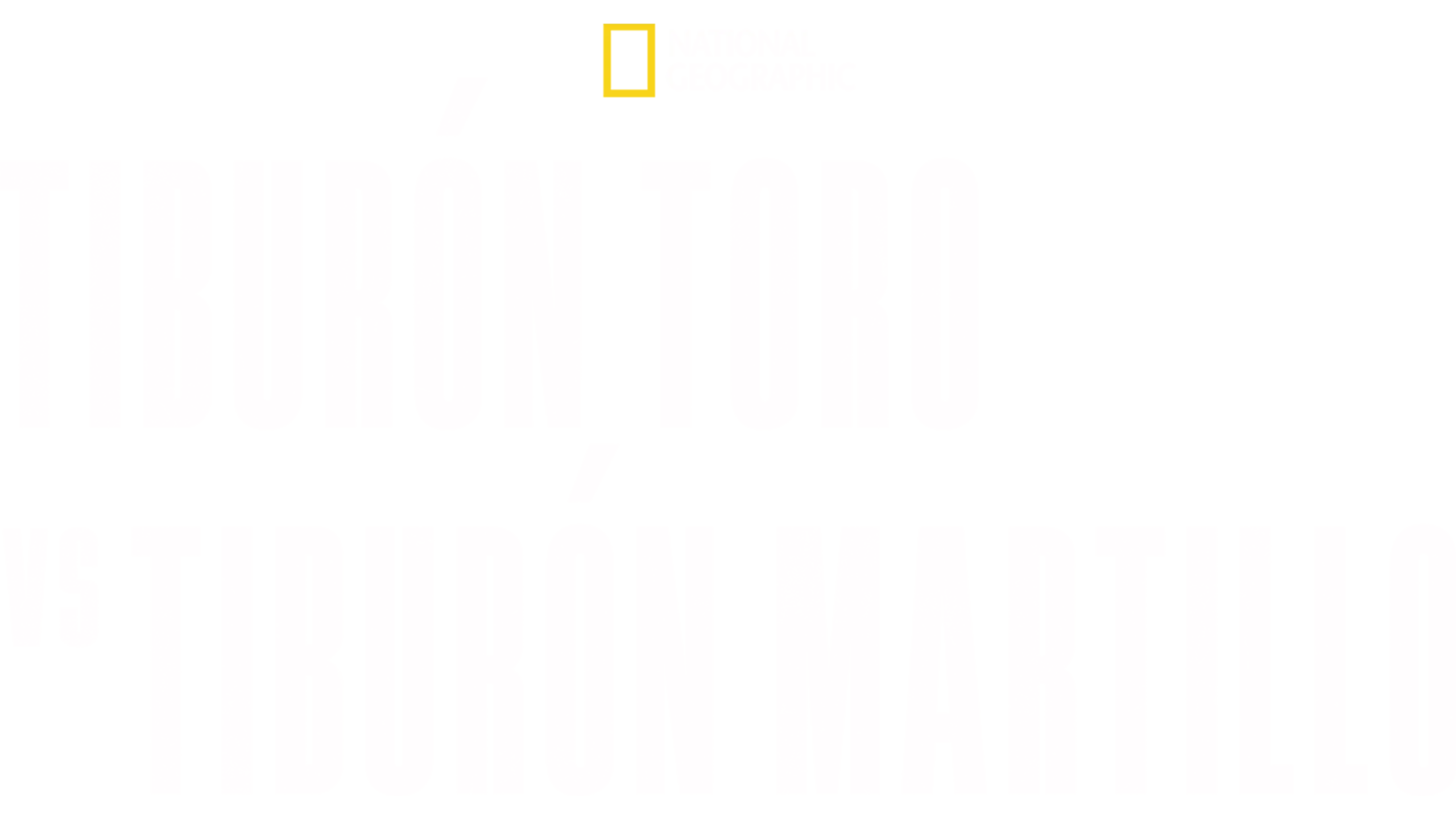 Tiburón toro vs. tiburón martillo