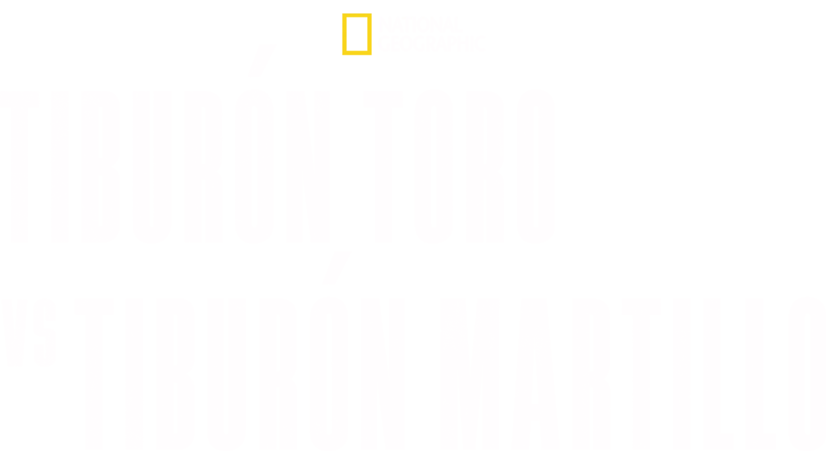 Tiburón toro vs. tiburón martillo