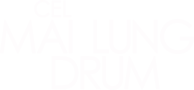 Cel mai lung drum