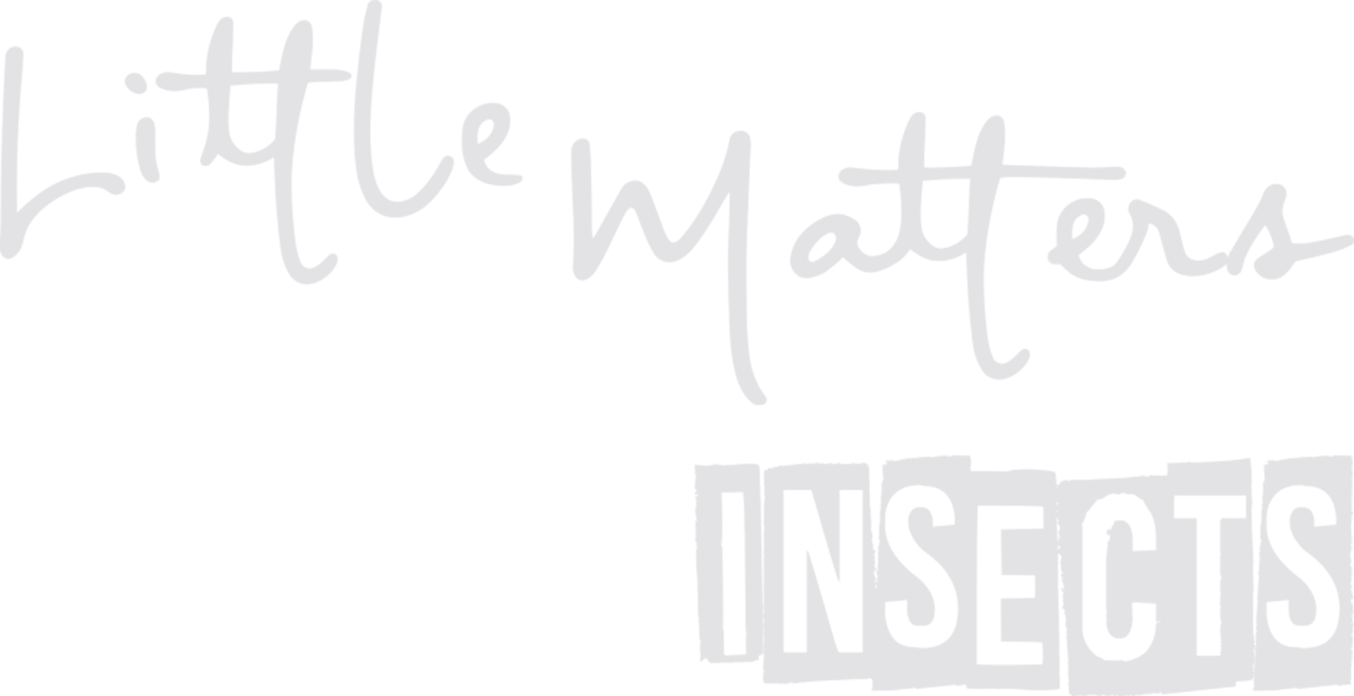 Little Matters: Insects