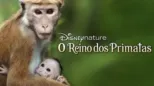 thumbnail - Reino dos Primatas