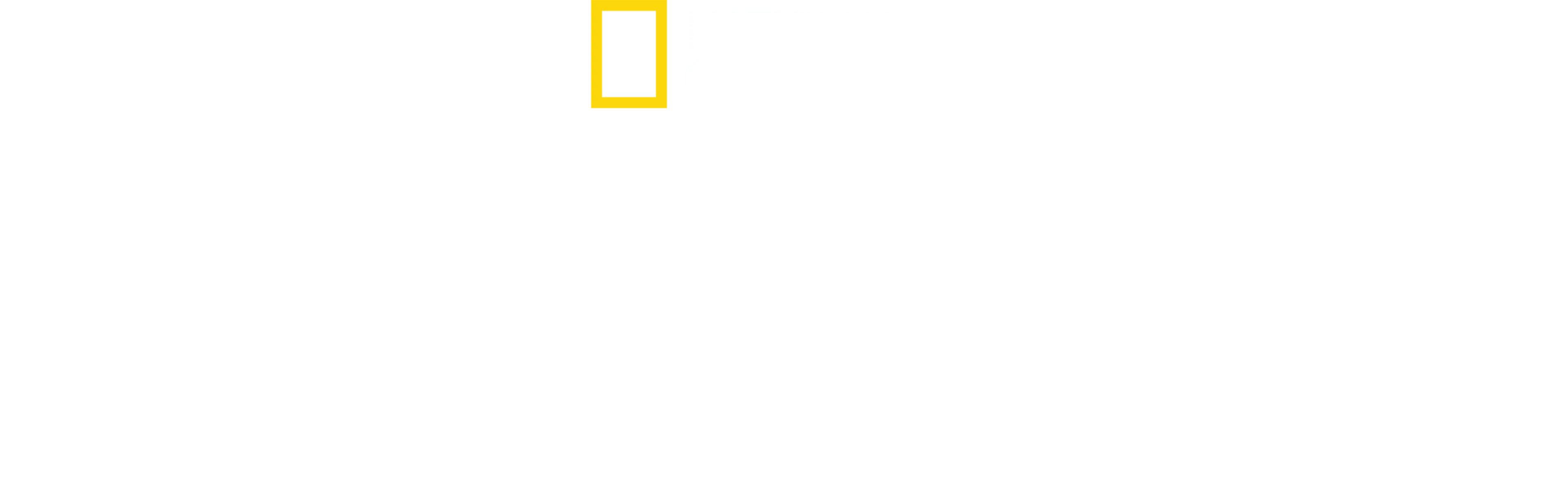 Hajangreb: Paige Winters historie
