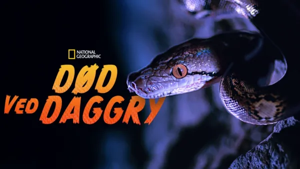 thumbnail - Død ved daggry