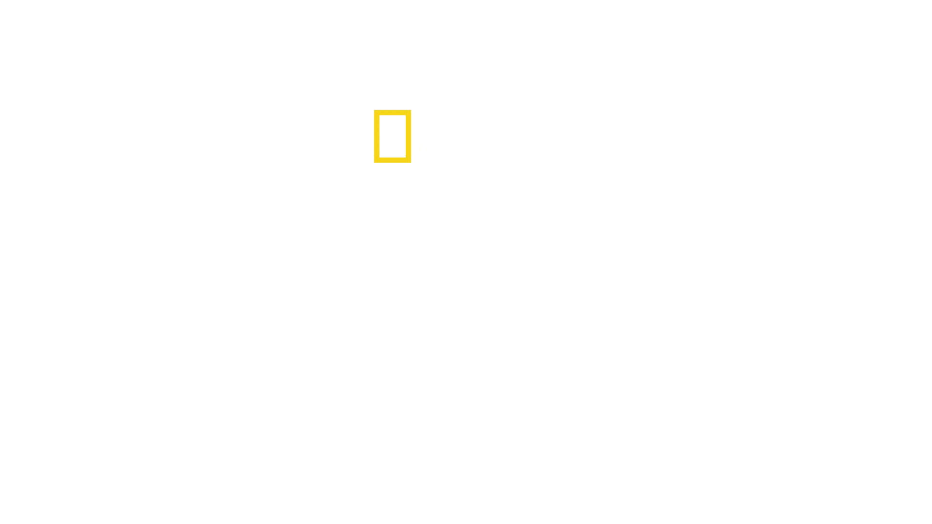 Les secrets des baleines