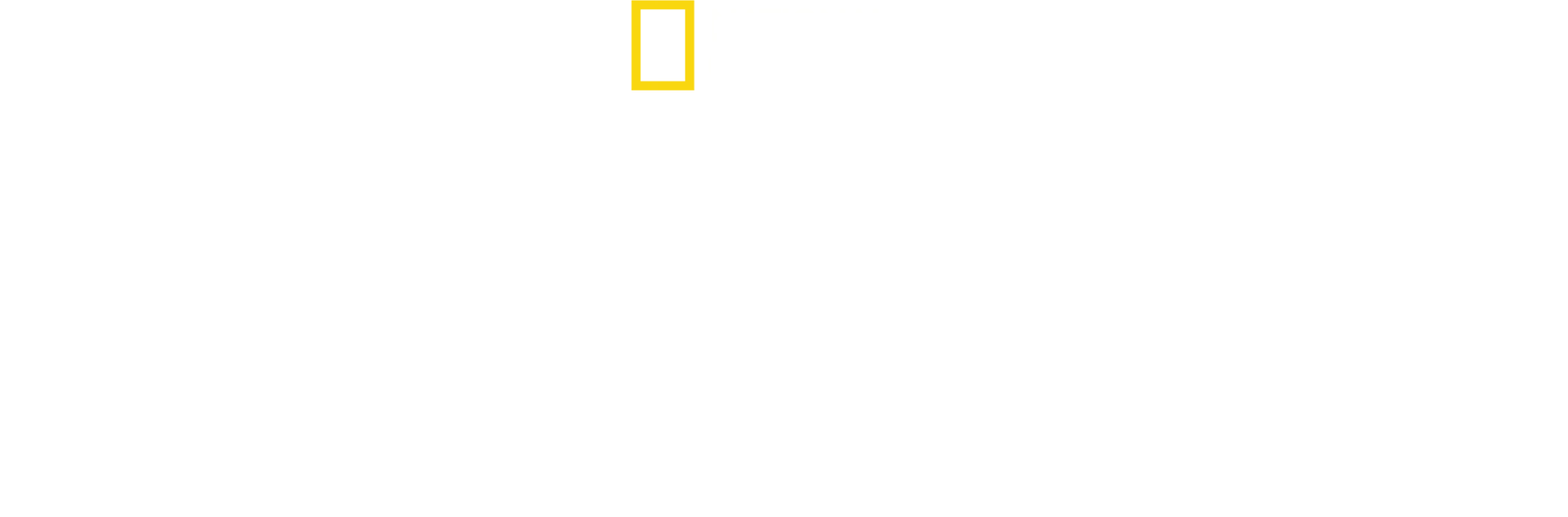 Les Secrets des Baleines