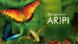 thumbnail - Aripi