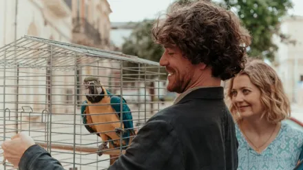 Ein Sommer in Italien