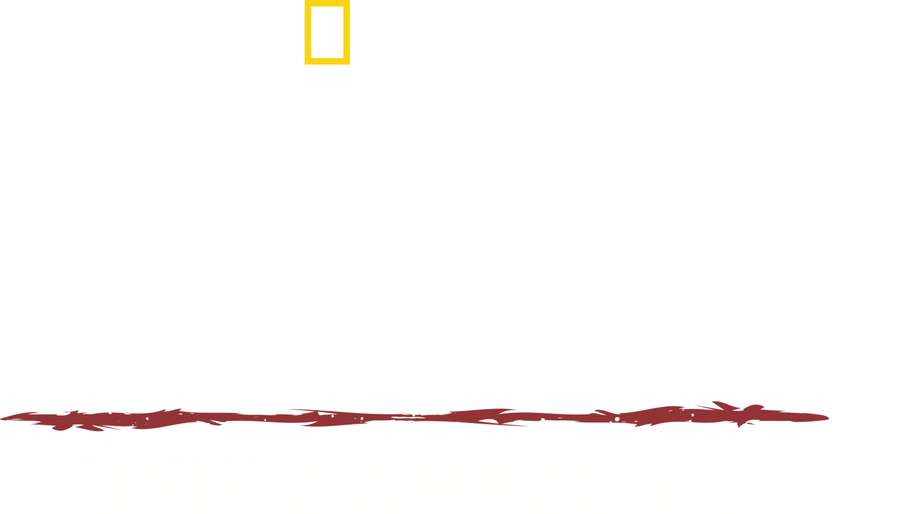 Primal Survivor: Únik z Amazónie