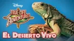 thumbnail - El desierto vivo