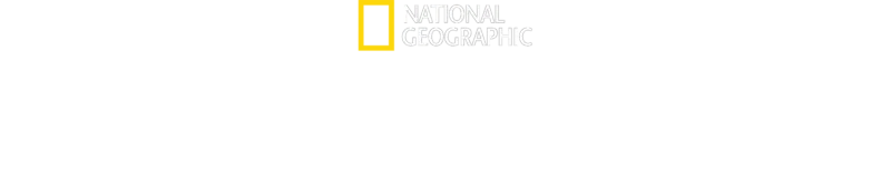 퍼스트 알래스칸