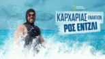 thumbnail - Καρχαρίας Εναντίον Ρος Έντζλι