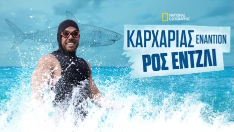 thumbnail - Καρχαρίας Εναντίον Ρος Έντζλι