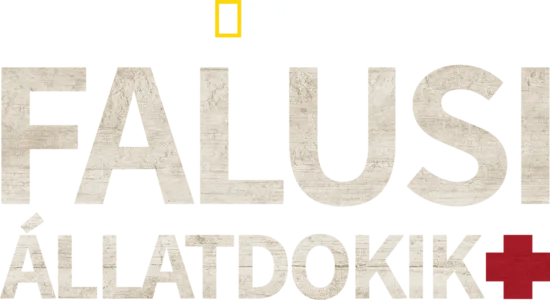 Falusi állatdokik