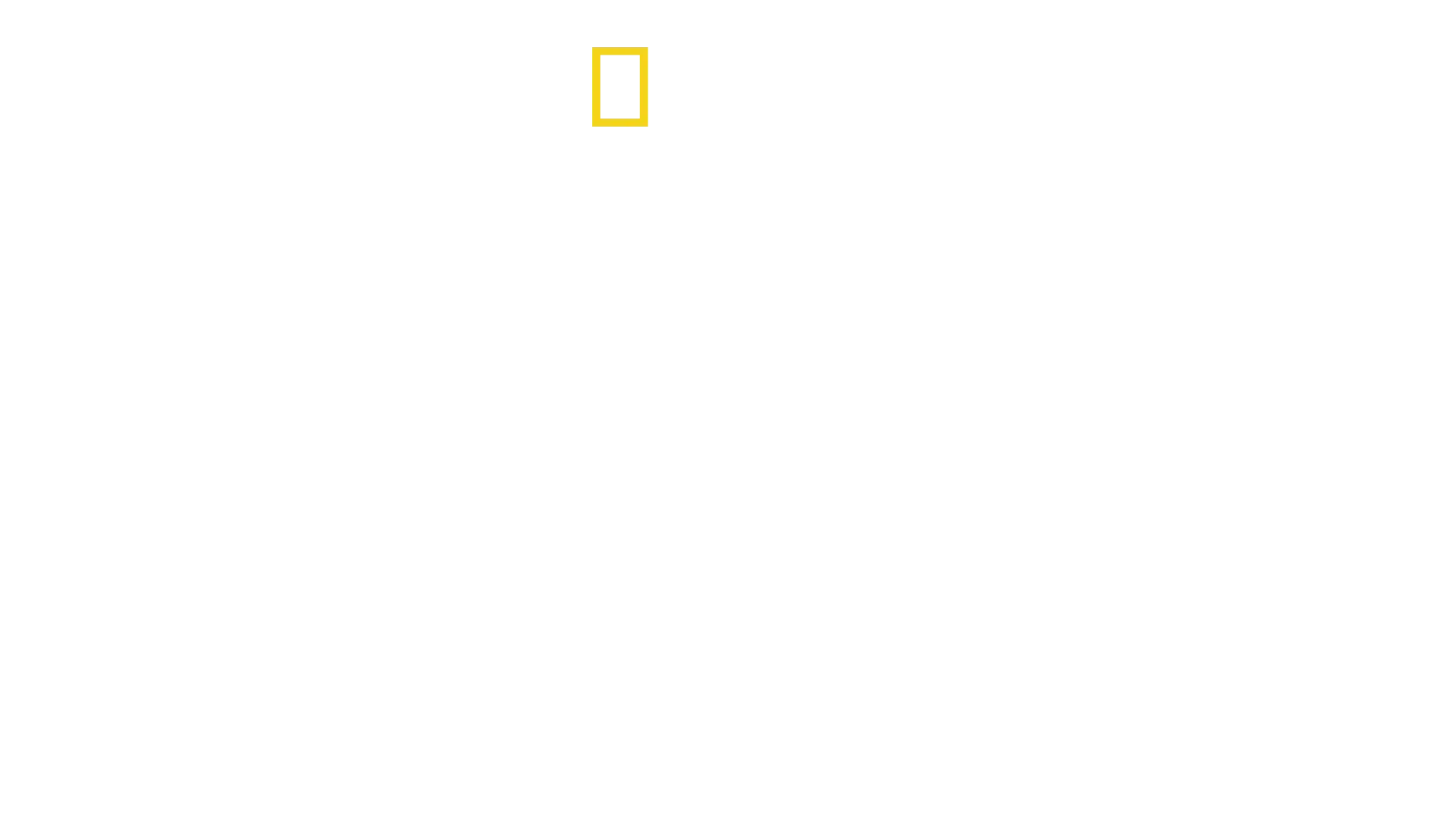 Street Genius