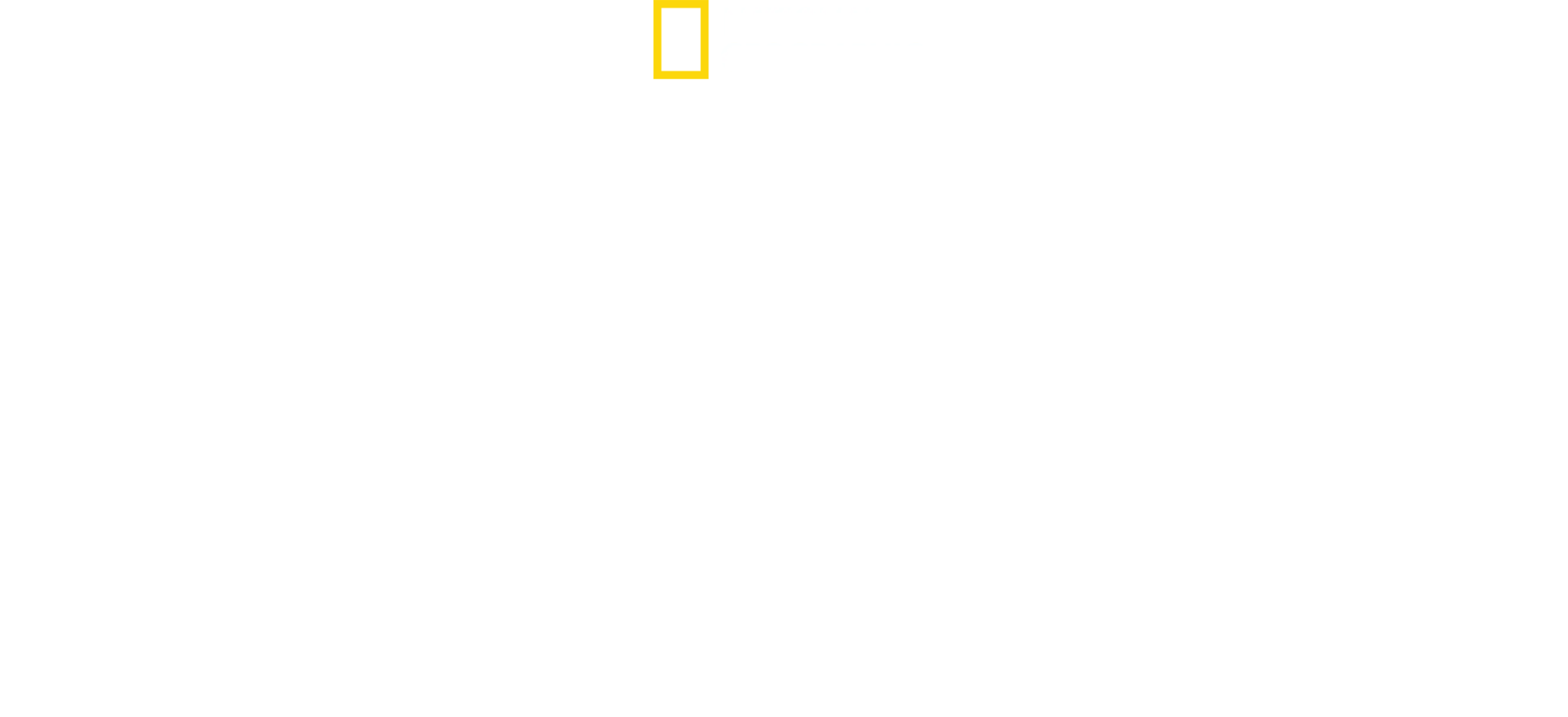 Όταν οι Καρχαρίες Επιτίθενται