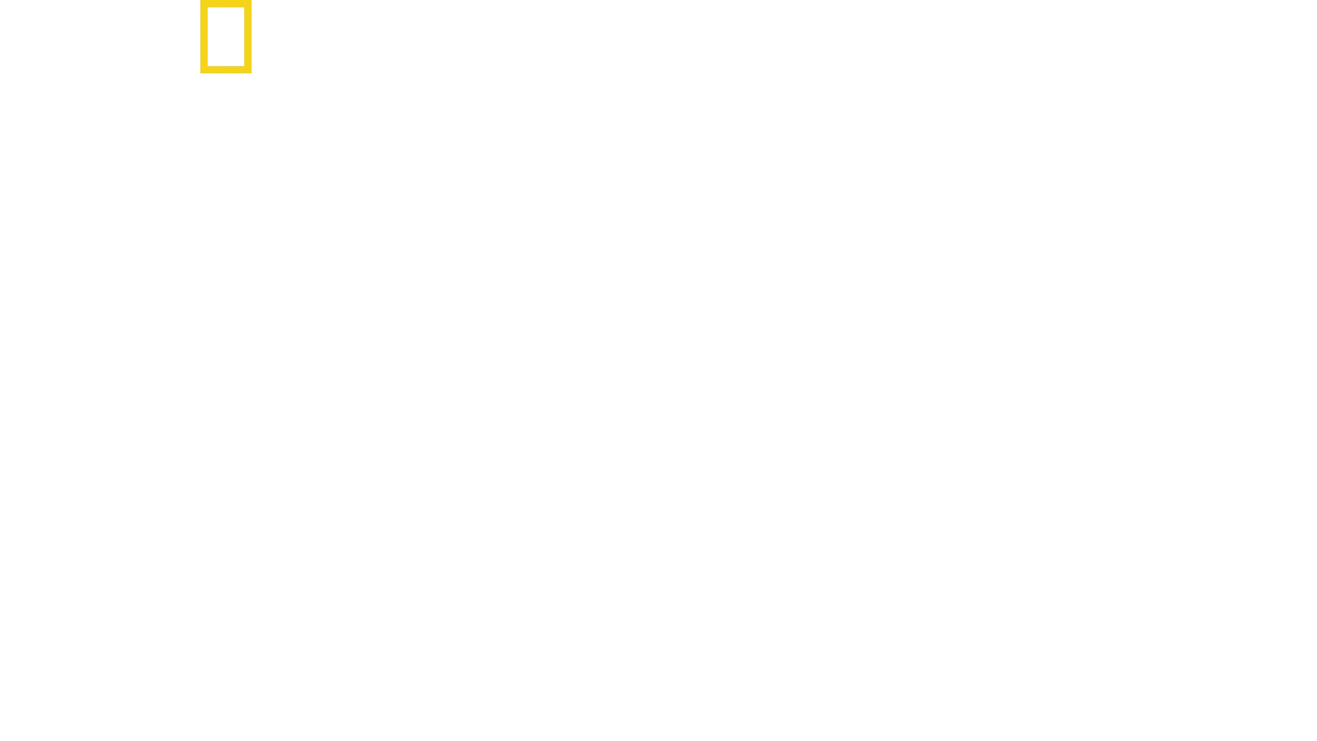 SS inifrån: Vägen till makten