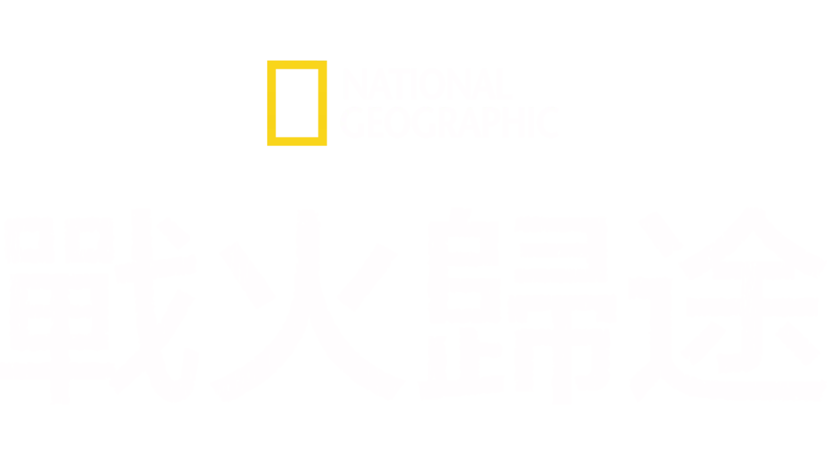 戰火歸途
