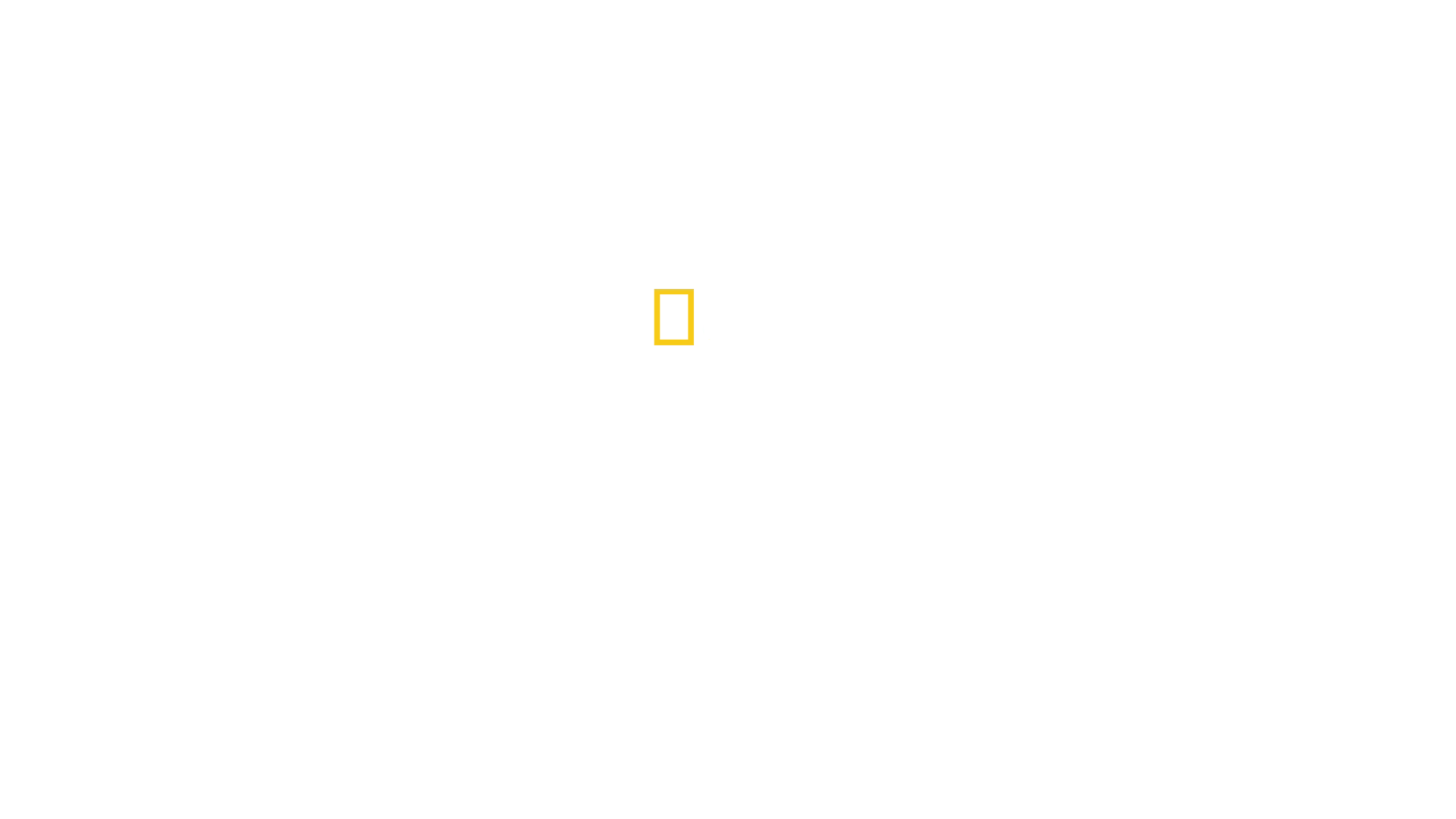 與世界的最後一眼相遇